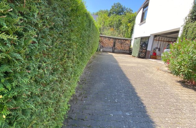Hecke schneiden 2 Hecke schneiden